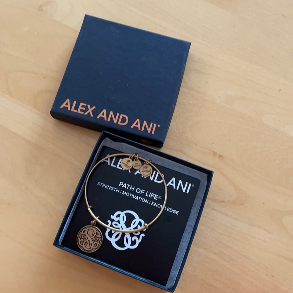 New Alex and Ani Path of Life Bracelet